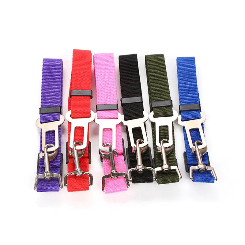 Dog Seat Belt Leash