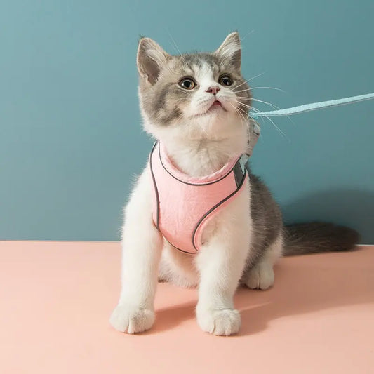 Stylish Cat Harness Leash Set