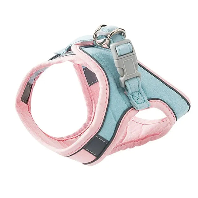 Stylish Cat Harness Leash Set