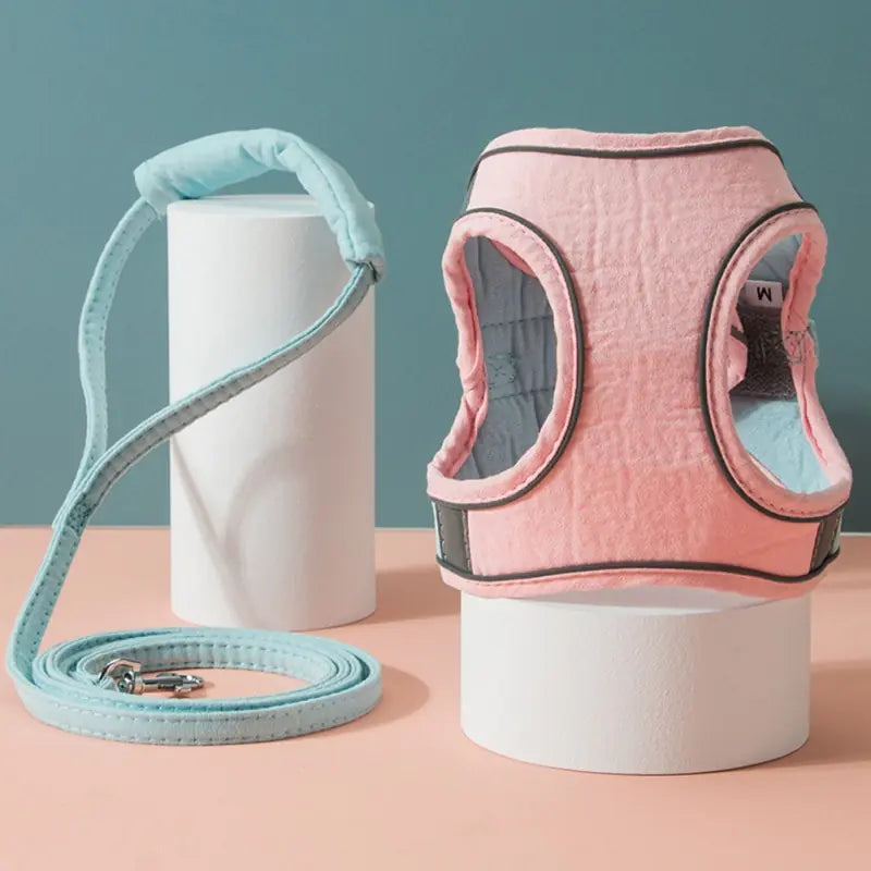 Stylish Cat Harness Leash Set
